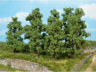 Drzewa owocowe - wys. 9-11 cm - 4 sztuki - zdjęcie 1