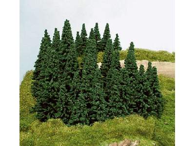 Drzewa - świerki - wys. 5-14 cm - 100 sztuk - zdjęcie 1