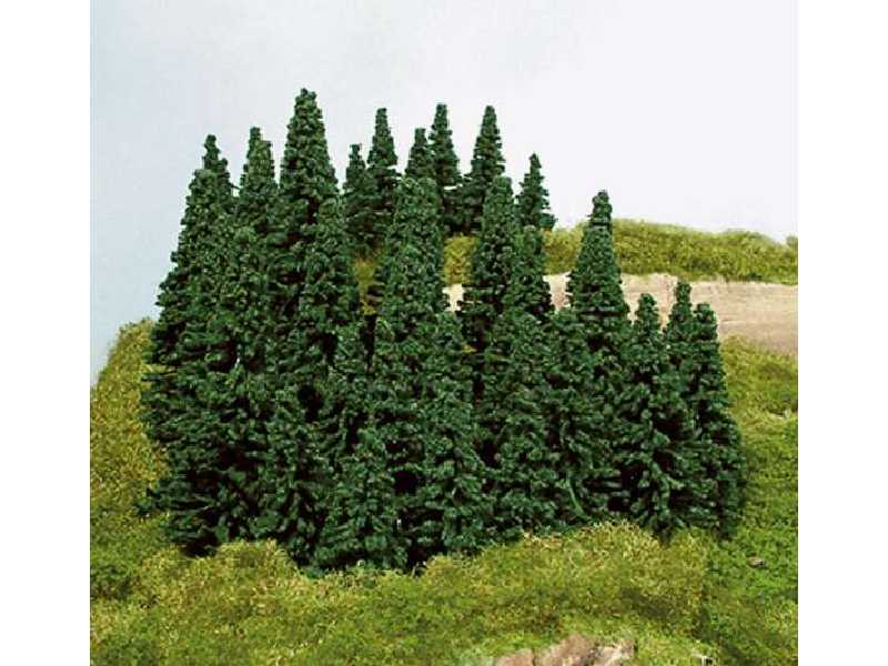 Drzewa - świerki - wys. 5-14 cm - 100 sztuk - zdjęcie 1 Drzewa - świerki - wys. 5-14 cm - 100 sztuk - zdjęcie 1