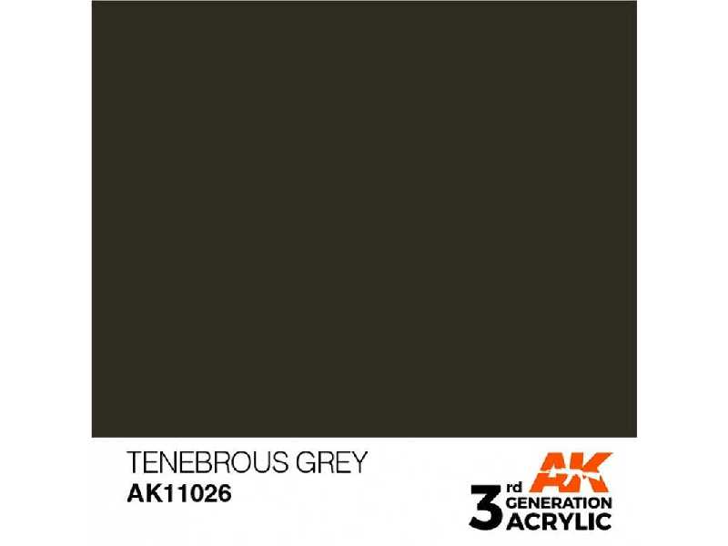 AK 11026 Tenebrous Grey - zdjęcie 1 AK 11026 Tenebrous Grey - zdjęcie 1