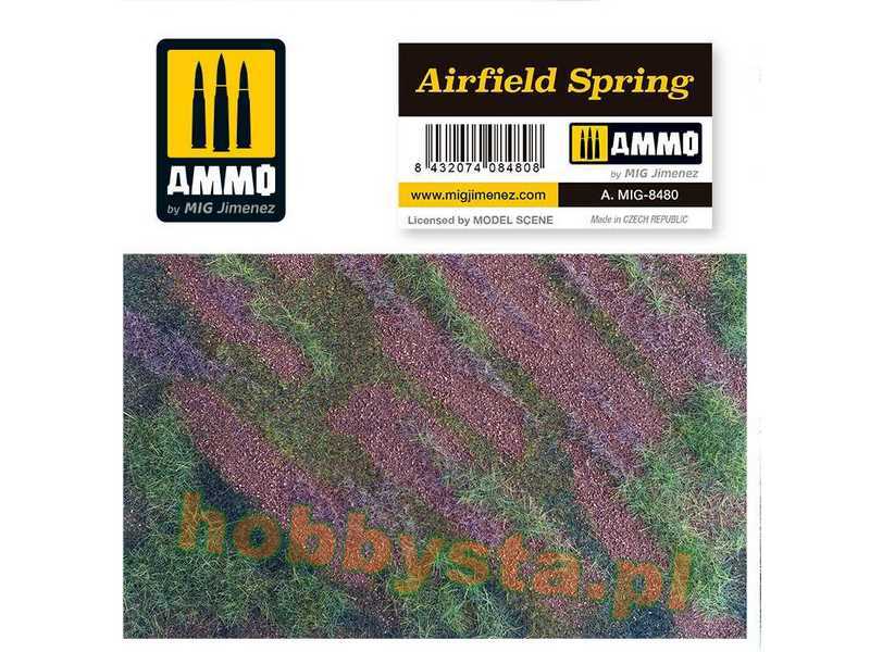 Airfield Spring - zdjęcie 1 Airfield Spring - zdjęcie 1