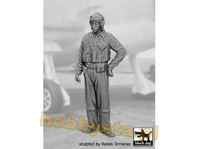 US Navy Pilot 1940-45 N°2 - zdjęcie 2
