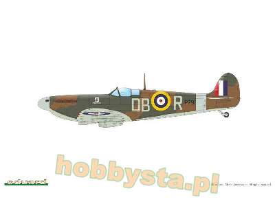 Spitfire Mk.IIa / IIb Tally ho! - zdjęcie 8
