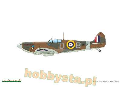 Spitfire Mk.IIa / IIb Tally ho! - zdjęcie 9