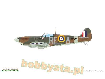 Spitfire Mk.IIa / IIb Tally ho! - zdjęcie 10