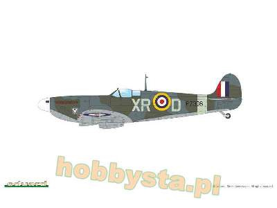 Spitfire Mk.IIa / IIb Tally ho! - zdjęcie 11