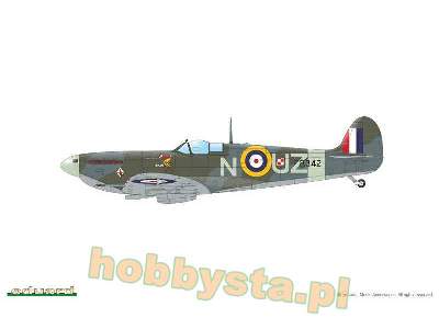 Spitfire Mk.IIa / IIb Tally ho! - zdjęcie 12