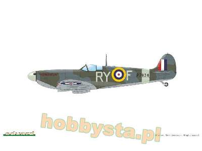 Spitfire Mk.IIa / IIb Tally ho! - zdjęcie 13