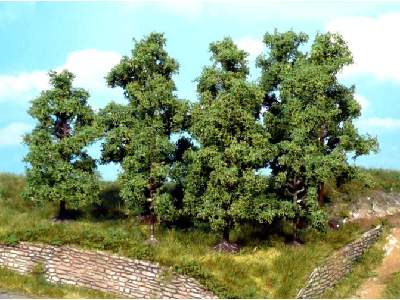 Drzewa owocowe - wys. 5-8 cm - 5 sztuk - zdjęcie 1