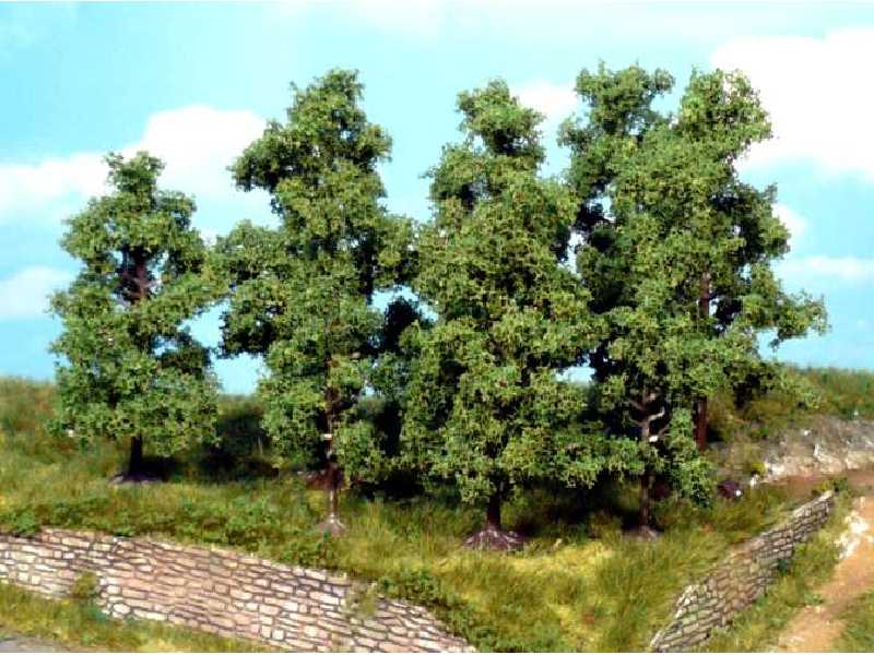 Drzewa owocowe - wys. 5-8 cm - 5 sztuk - zdjęcie 1