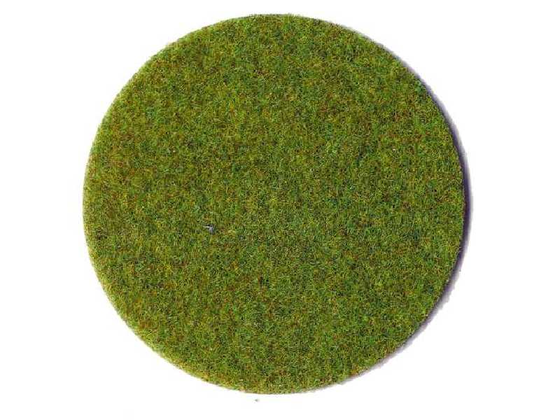Podsypka statyczna trawa wiosenna łąka - zdjęcie 1