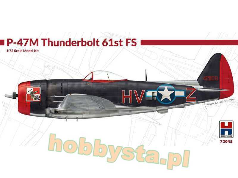 P-47M Thunderbolt 61st Fighter Sq - zdjęcie 1 P-47M Thunderbolt 61st Fighter Sq - zdjęcie 1