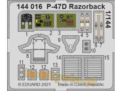 P-47D Razorback 1/144 - zdjęcie 1