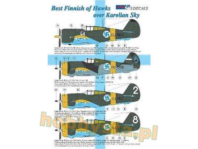 Best Finnish Hawks Over Karelian Sky - zdjęcie 2
