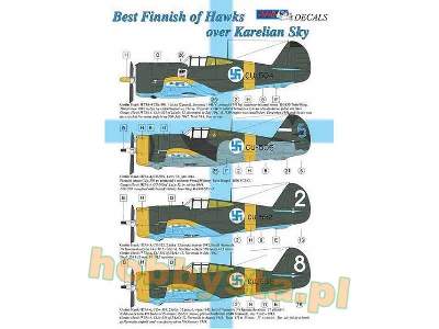 Best Finnish Hawks Over Karelian Sky - zdjęcie 2