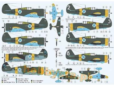 Best Finnish Hawks Over Karelian Sky - zdjęcie 4