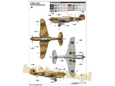 Curtiss P-40M - zdjęcie 3