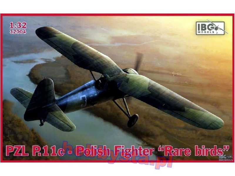 PZL P.11c "Rare birds" - zdjęcie 1 PZL P.11c "Rare birds" - zdjęcie 1