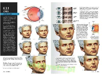 Figures F.A.Q. - Figure Painting Techniques - The Complete Guide - zdjęcie 11