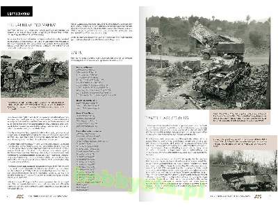 1944 German Armour In Normandy - Camouflage Profile Guide (En) - zdjęcie 2