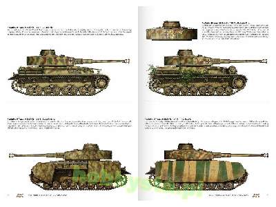 1944 German Armour In Normandy - Camouflage Profile Guide (En) - zdjęcie 5