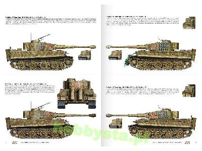 1944 German Armour In Normandy - Camouflage Profile Guide (En) - zdjęcie 6