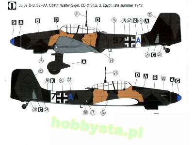 Junkers Ju-87 D-3 - północna Afryka - 1942-43 - zdjęcie 2