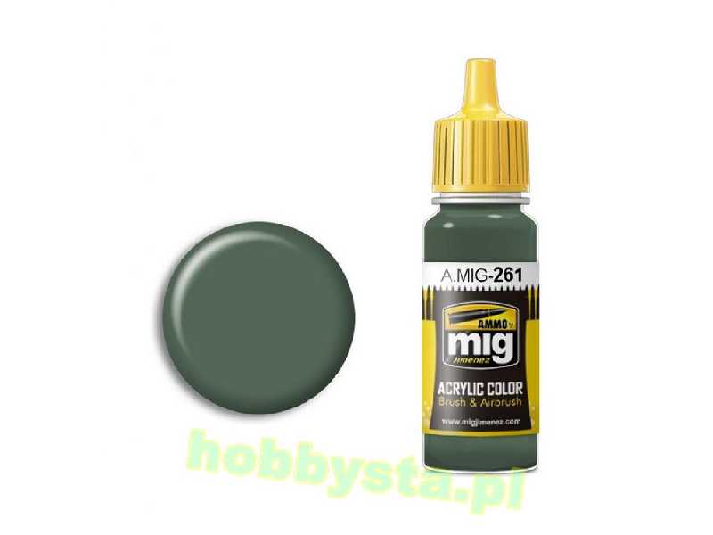 IJA Nakajima Green - zdjęcie 1 IJA Nakajima Green - zdjęcie 1