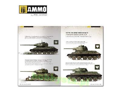 T-34 Colors. T-34 Tank Camouflage Patterns In WWii (Multilingual - zdjęcie 6