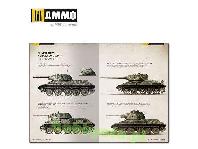 T-34 Colors. T-34 Tank Camouflage Patterns In WWii (Multilingual - zdjęcie 9