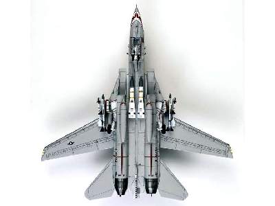 Grumman F-14A Tomcat - Sundowners - zdjęcie 6