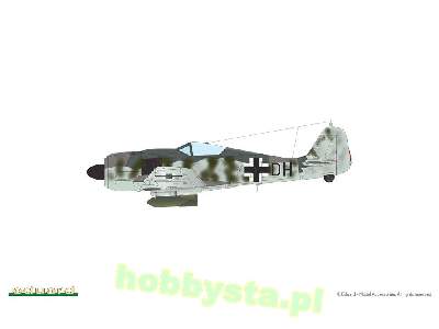 Focke-wulf Fw 190F-8 - zdjęcie 20