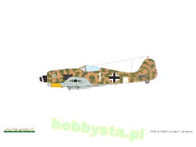 Focke-wulf Fw 190F-8 - zdjęcie 22