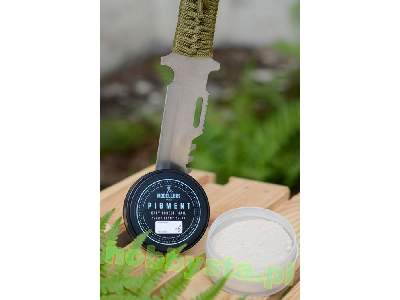 P011 Grey Forest Trail - zdjęcie 2