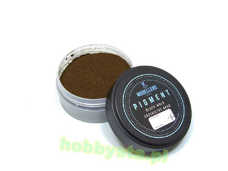 P020 Black Mold - zdjęcie 1 P020 Black Mold - zdjęcie 1