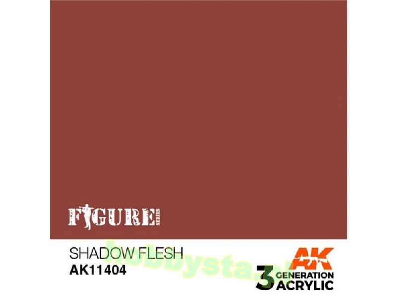 AK 11404 Shadow Flesh - zdjęcie 1 AK 11404 Shadow Flesh - zdjęcie 1