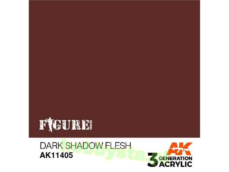 AK 11405 Dark Shadow Flesh - zdjęcie 1 AK 11405 Dark Shadow Flesh - zdjęcie 1