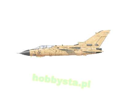 DESERT BABES 1/72 - zdjęcie 5