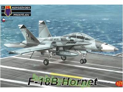 F-18b Hornet - zdjęcie 1