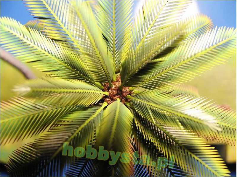 Palm Distorted 210mm - zdjęcie 1 Palm Distorted 210mm - zdjęcie 1