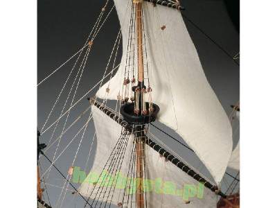 Mayflower - zdjęcie 4
