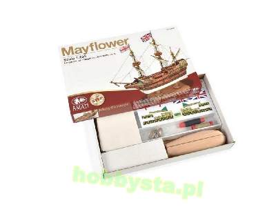 Mayflower - zdjęcie 2