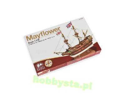 Mayflower - zdjęcie 17