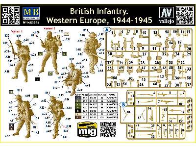 Brytyjska piechota - Zachodnia Europa - 1944-1945 - zdjęcie 3