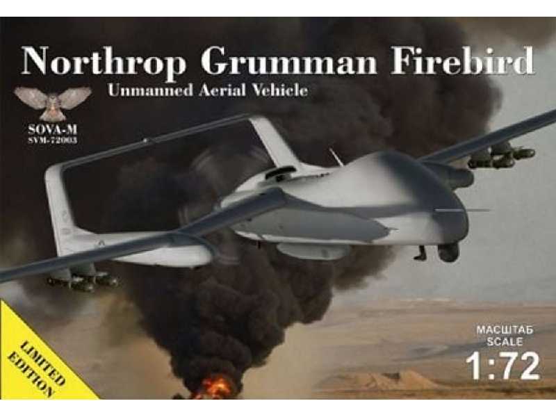 Northrop Grumman Firebird Unmanned Aerial Vehicle - zdjęcie 1 Northrop Grumman Firebird Unmanned Aerial Vehicle - zdjęcie 1