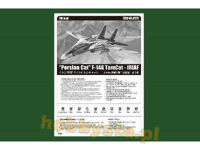 F-14a Tomcat - Iriaf - Persian Cat - zdjęcie 5