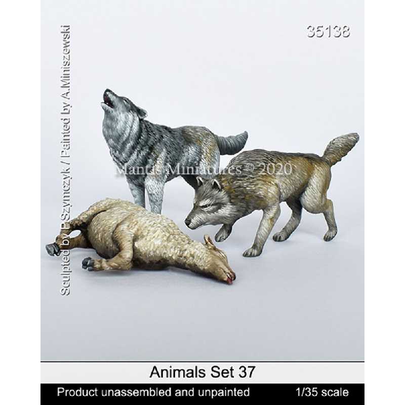Animals Set 37 - zdjęcie 1