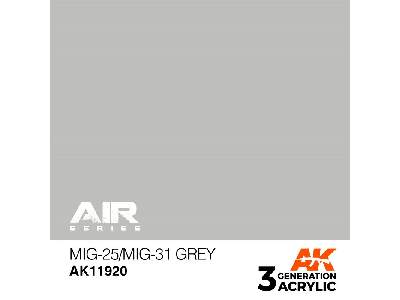 Ak 11920 Mig-25/Mig-31 Grey - zdjęcie 1