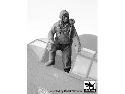 Usaaf Fighter Pilot 1940-45 N°1 - zdjęcie 2