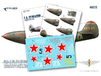 G.A. Rechkalov-aircraft Air Aces (&#1056;-39, &#1048;-153) - zdjęcie 1